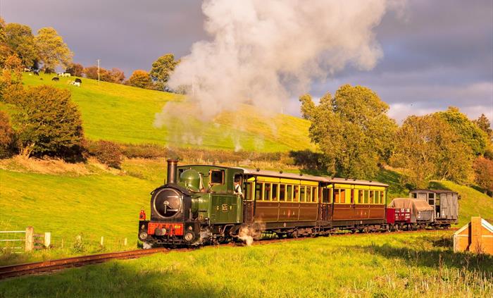 The Earl and Pickering replica coaches steam through Mid wales